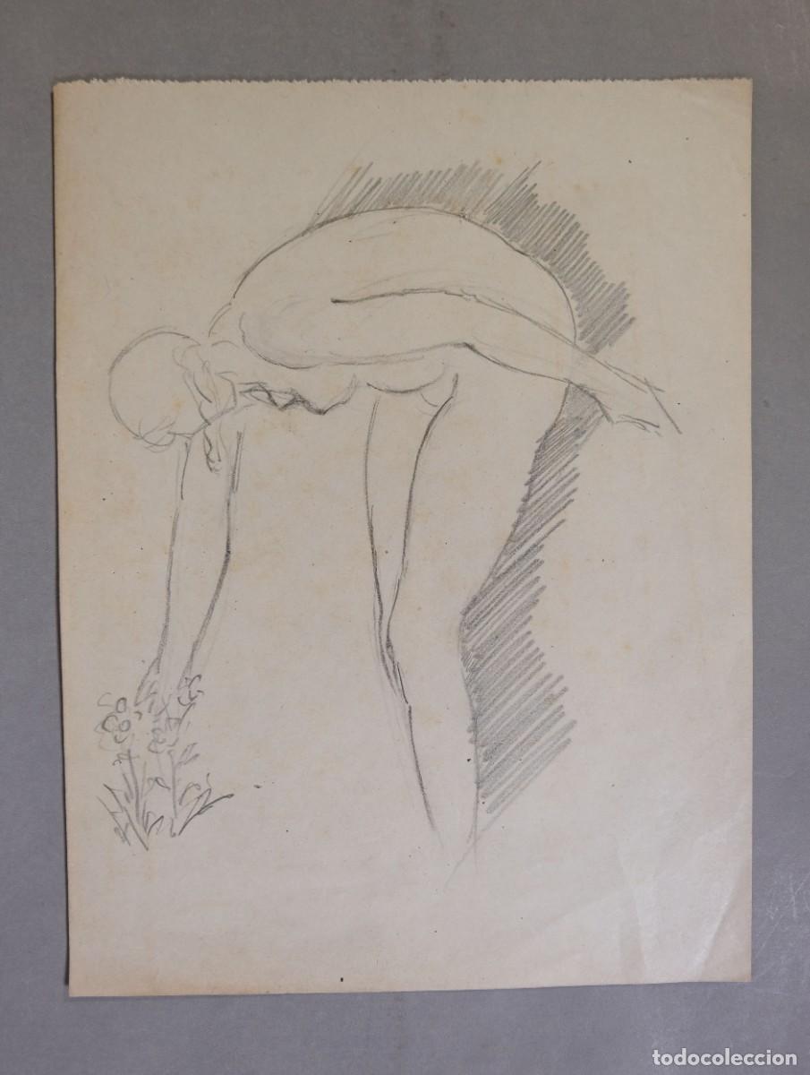 Arte: Dibujo a l&aacute;piz Desnudo femenino
