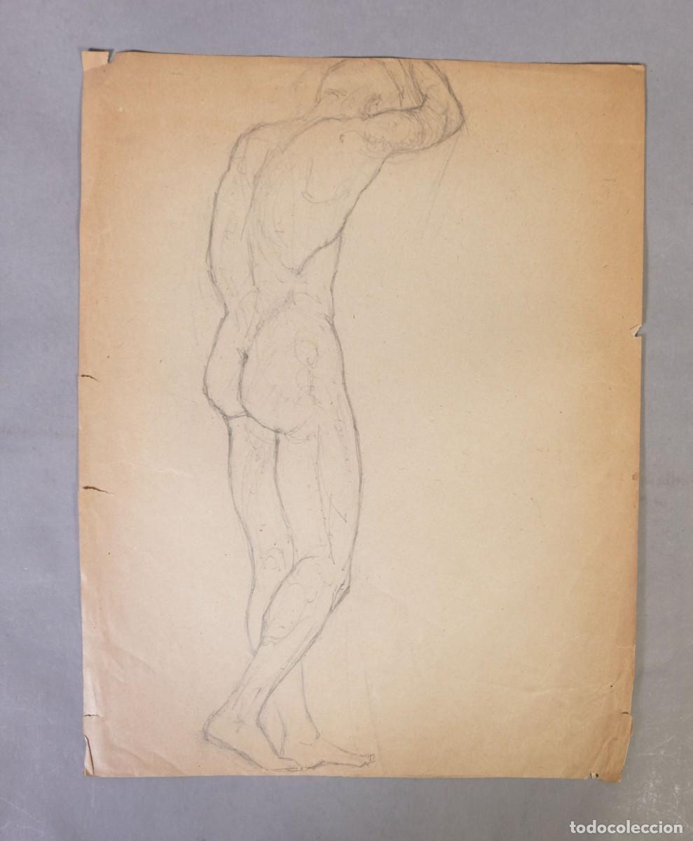 Arte: Dibujo a l&aacute;piz Desnudo masculino