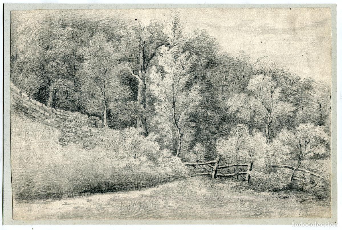 Arte: Linde de un bosque con cerca de troncos - dibujo original a l&aacute;piz - 1848