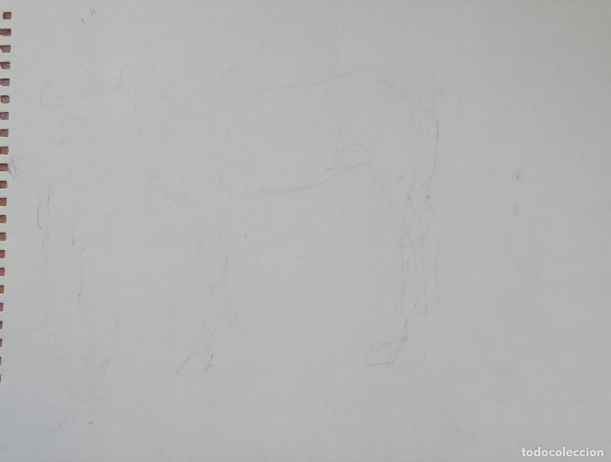 Arte: Carlos Enrique Lencinas G&oacute;mez. Dibujo sobre papel. &rdquo;Caballos y jinete&rdquo;. Sin firmar. Esbozo, apunte.