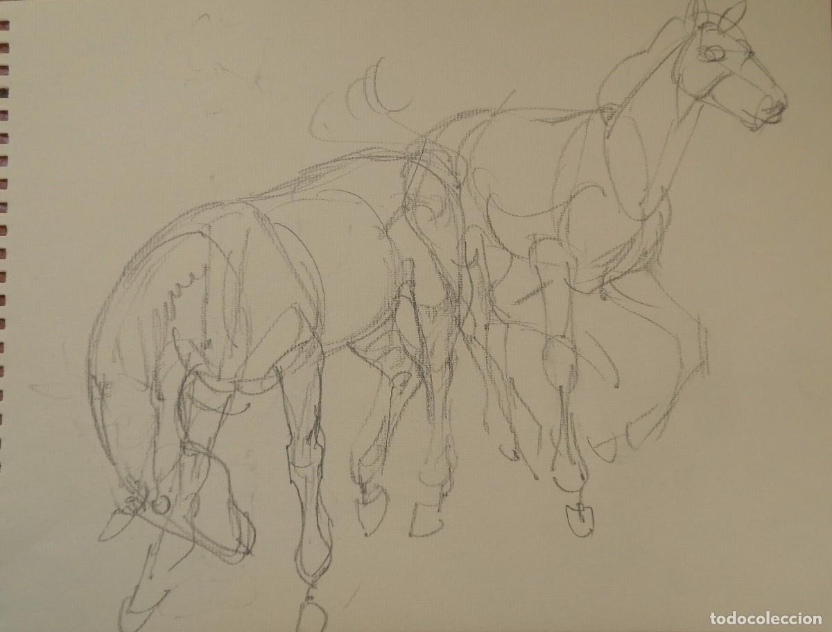 Arte: Carlos Enrique Lencinas G&oacute;mez. Dibujo sobre papel. &rdquo;Dos caballos&rdquo;. Sin firmar. Esbozo, apunte.