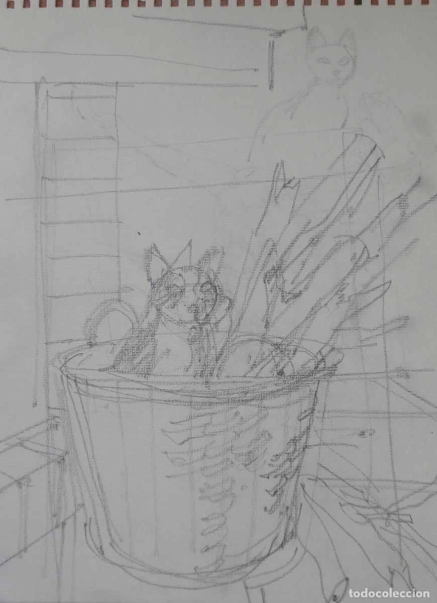 Arte: Carlos Enrique Lencinas G&oacute;mez. Dibujo sobre papel. &rdquo;Gato en una cesta&rdquo;. Sin firmar. Esbozo, apunte.