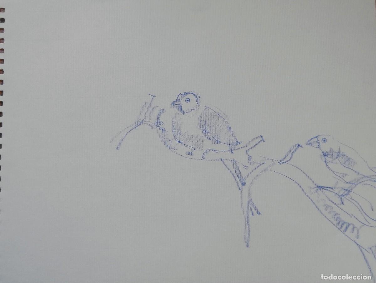 Arte: Carlos Enrique Lencinas G&oacute;mez. Dibujo sobre papel. &rdquo;Dos p&aacute;jaros&rdquo;. Sin firmar. Esbozo, apunte.