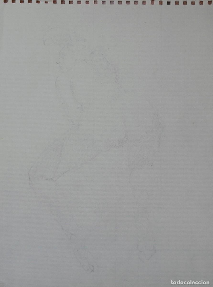 Arte: Carlos Enrique Lencinas G&oacute;mez. Dibujo sobre papel. &rdquo;Desnudo femenino&rdquo;. Sin firmar. Esbozo, apunte.