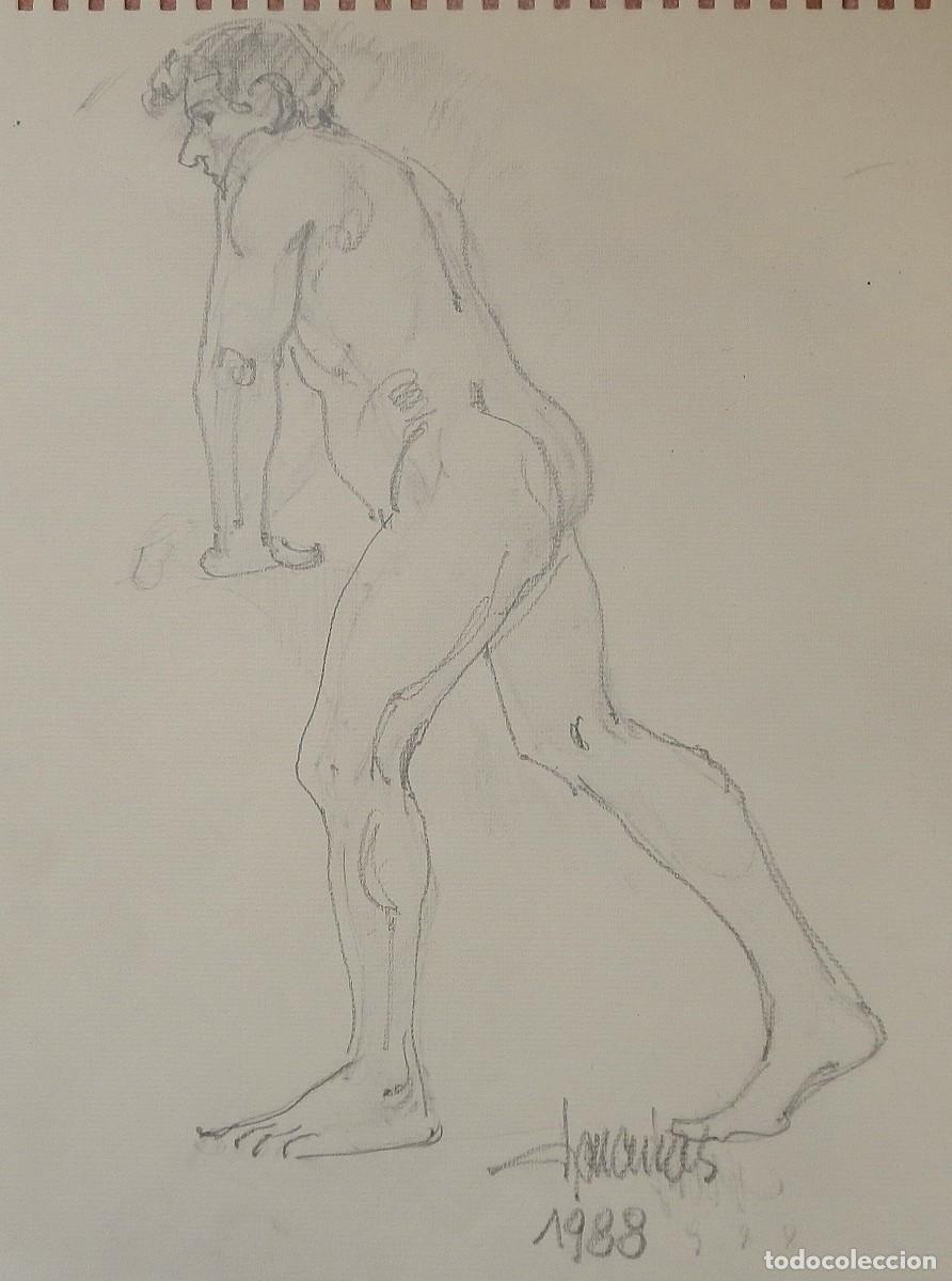 Arte: Carlos Enrique Lencinas G&oacute;mez. Dibujo sobre papel. &rdquo;Desnudo masculino&rdquo;. Firmado a mano. 1988.