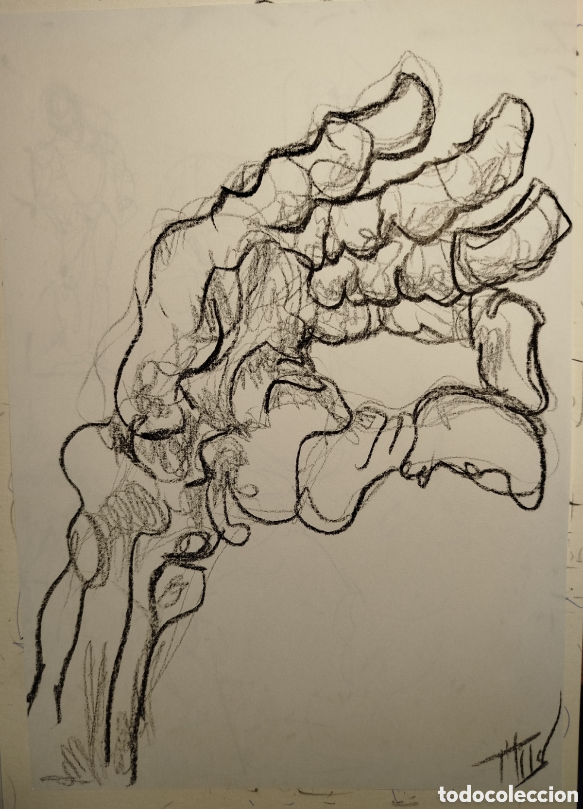 Arte: Dibujo original mano de esqueleto
