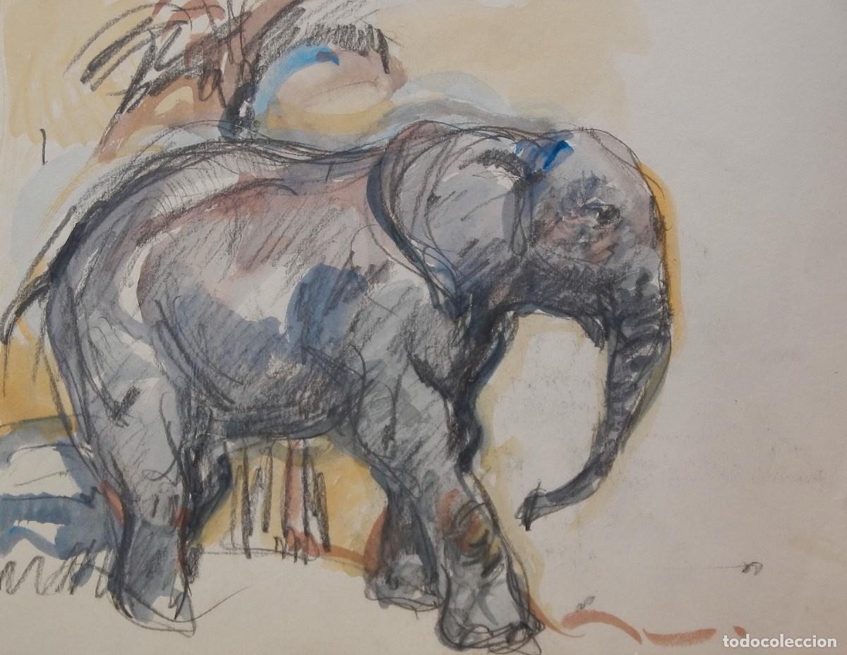 Arte: Carlos Enrique Lencinas G&oacute;mez. L&aacute;piz y acuarela sobre papel. &rdquo;Elefante. Zoo Barcelona&rdquo; 1976.
