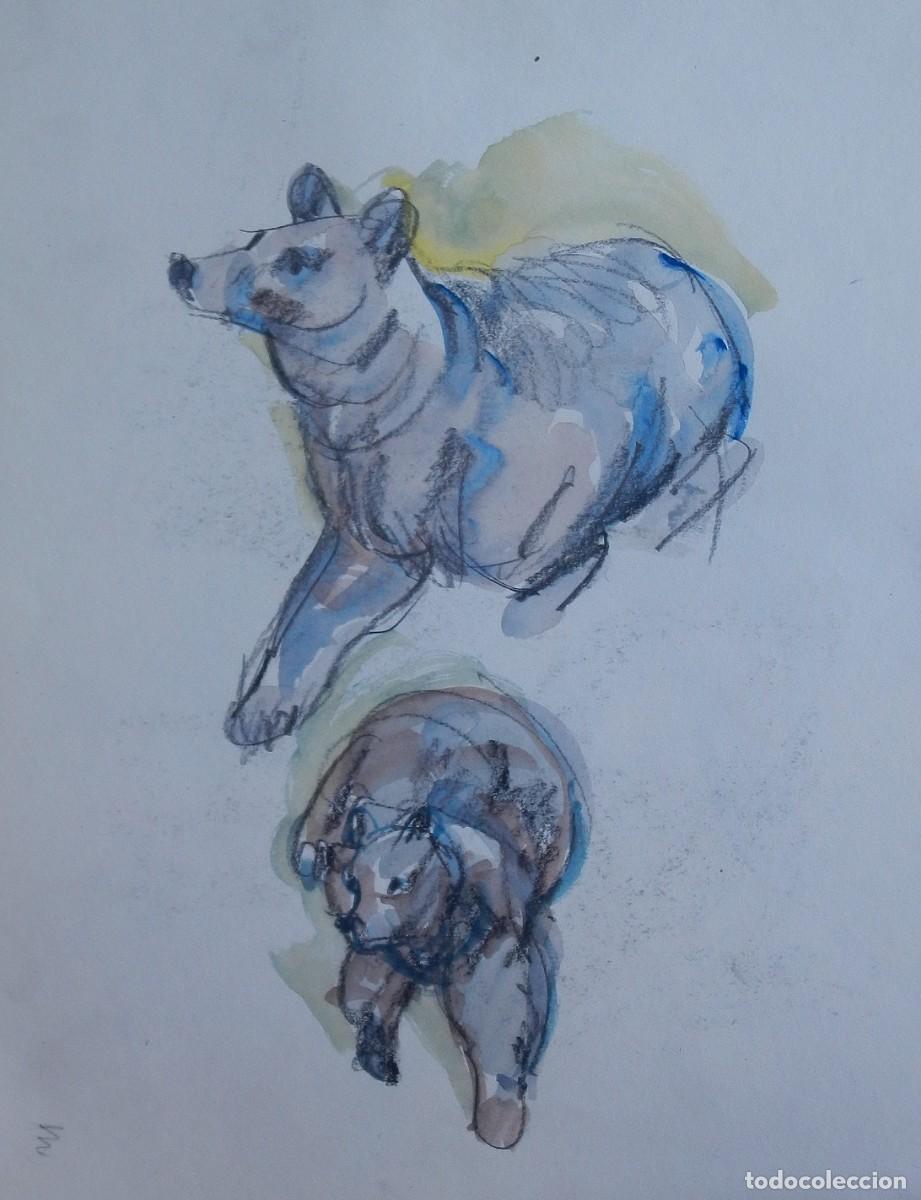 Arte: Carlos Enrique Lencinas G&oacute;mez. L&aacute;piz y acuarela sobre papel. &rdquo;Osos. Zoo Barcelona&rdquo; 1976. Sin firmar