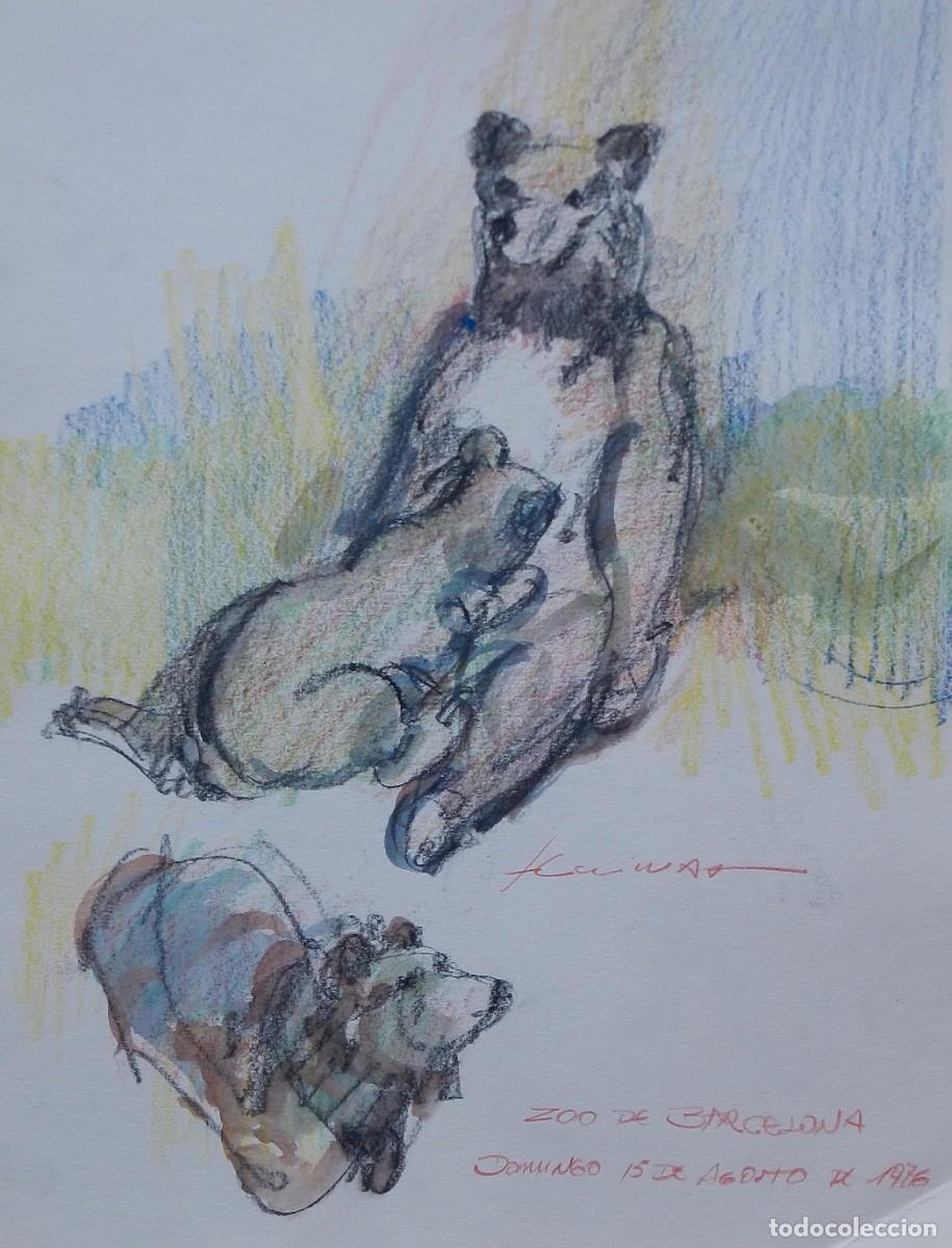 Arte: Carlos Enrique Lencinas G&oacute;mez. L&aacute;piz y acuarela sobre papel. &rdquo;Osos. Zoo Barcelona&rdquo; 1976. Firmado.