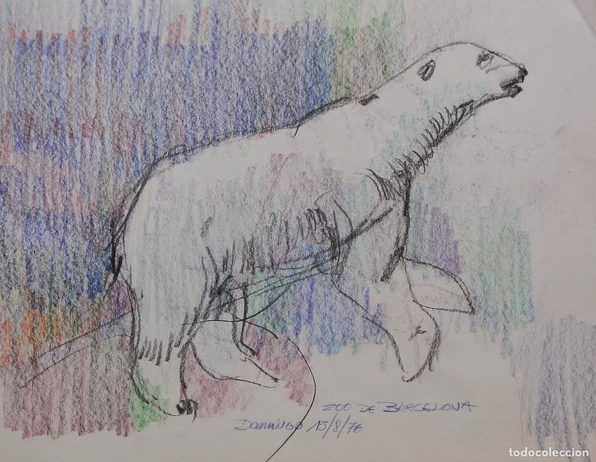 Arte: Carlos Enrique Lencinas G&oacute;mez. L&aacute;piz y color sobre papel. &rdquo;Oso. Zoo Barcelona&rdquo; 1976. Sin firmar.