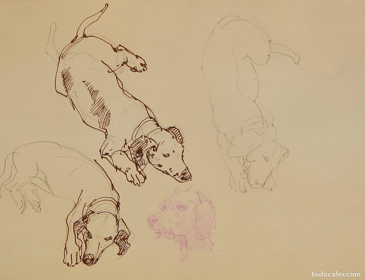 Arte: Carlos Enrique Lencinas G&oacute;mez. Tinta sobre papel. &rdquo;Perros, cuatro perros&rdquo;. Sin firmar. Apunte.