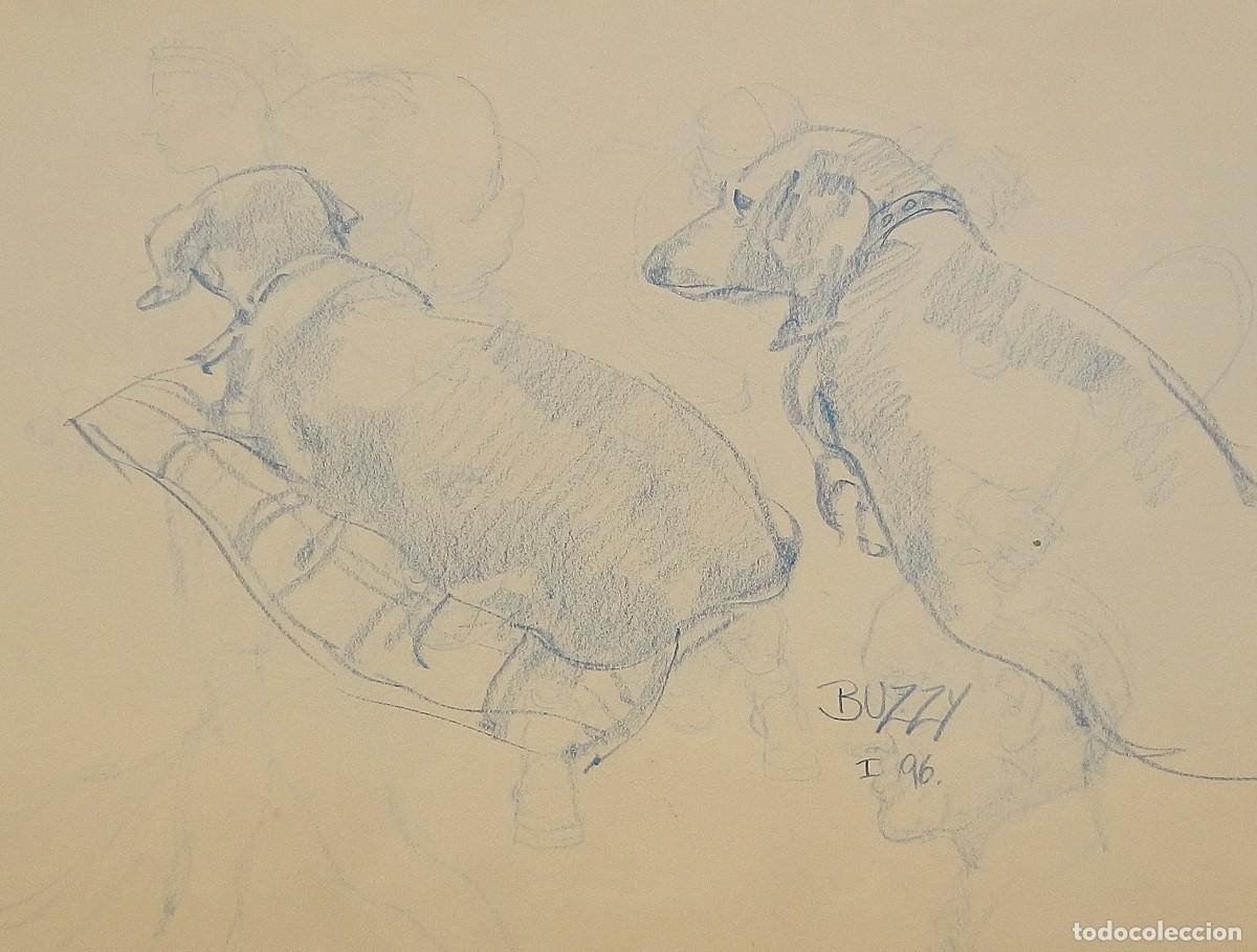 Arte: Carlos Enrique Lencinas G&oacute;mez. L&aacute;piz color sobre papel. &rdquo;Perro Buzzy. 1996&rdquo;. Sin firmar. Apunte.
