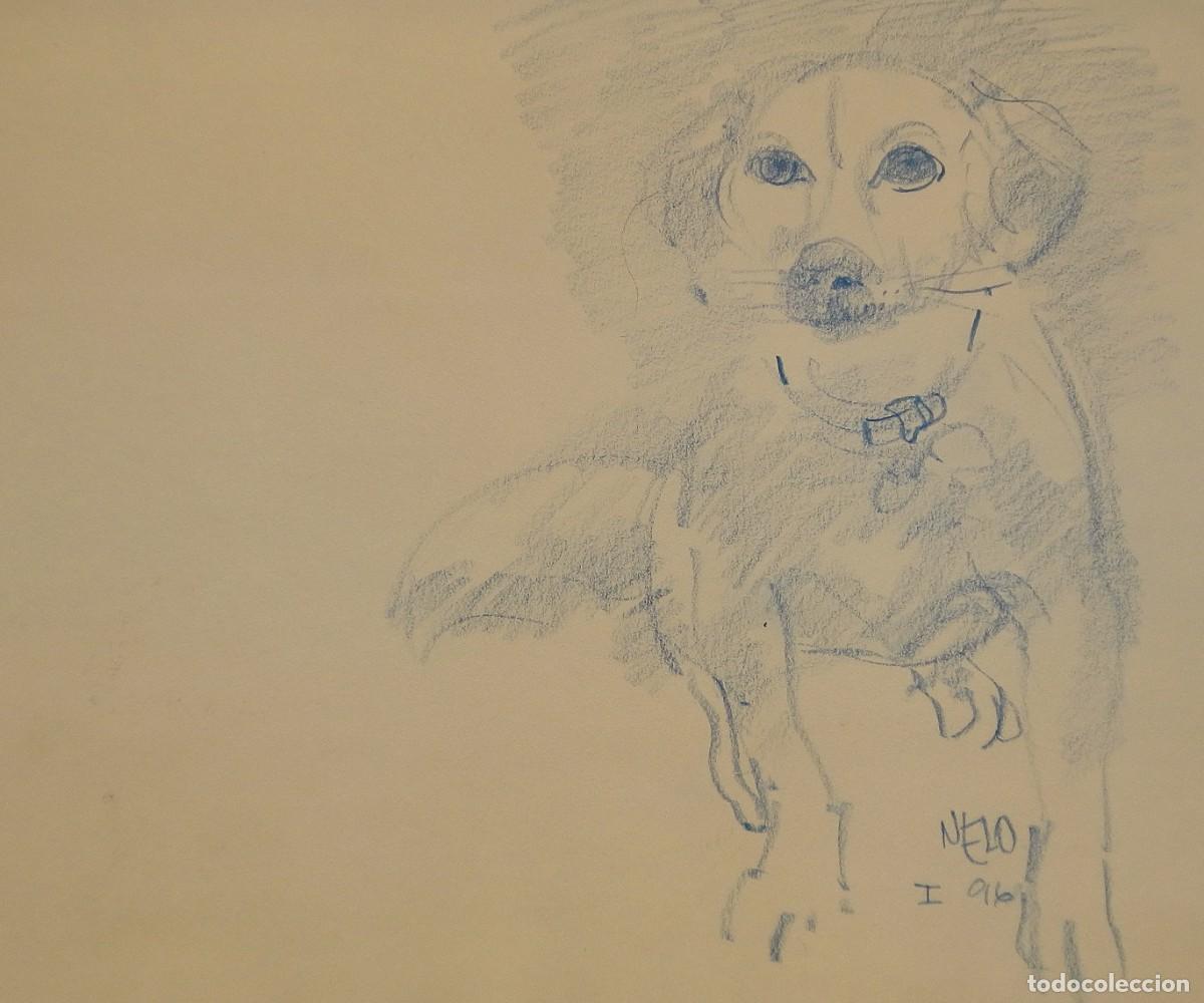 Arte: Carlos Enrique Lencinas G&oacute;mez. L&aacute;piz color sobre papel. &rdquo;Perro Nelo&rdquo;. Sin firmar. Apunte. 1996