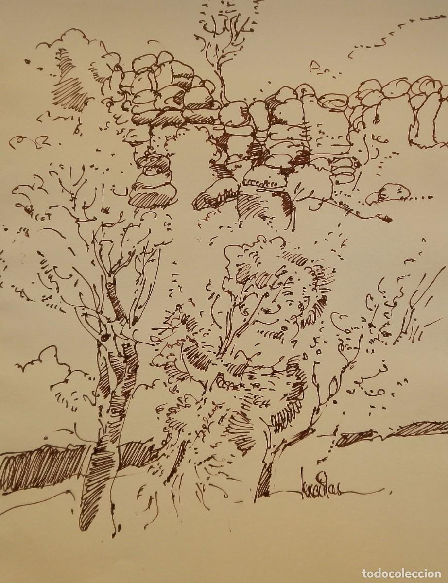 Arte: Carlos Enrique Lencinas G&oacute;mez. Tinta sobre papel. &rdquo;Paisaje boscoso y rocoso&rdquo;. Firmado mano. Apunte.