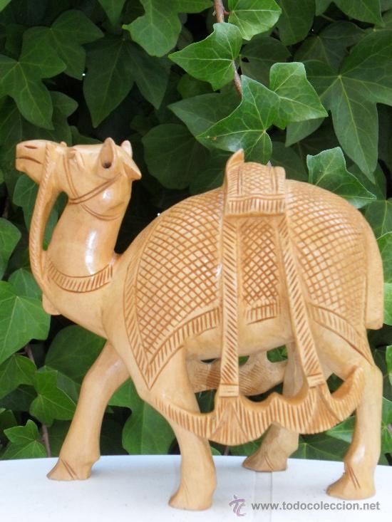 Arte: Talla de camello en madera tropical - Foto 1