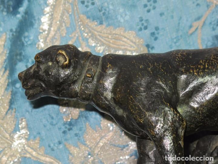 Arte: ESCULTURA EN BRONCE. PERRO - Foto 5