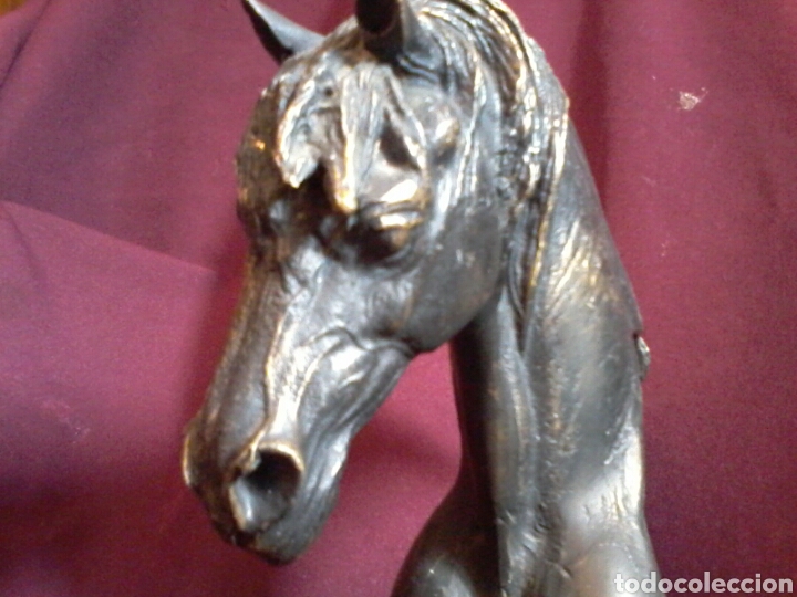 Arte: Caballo de bronce. - Foto 2