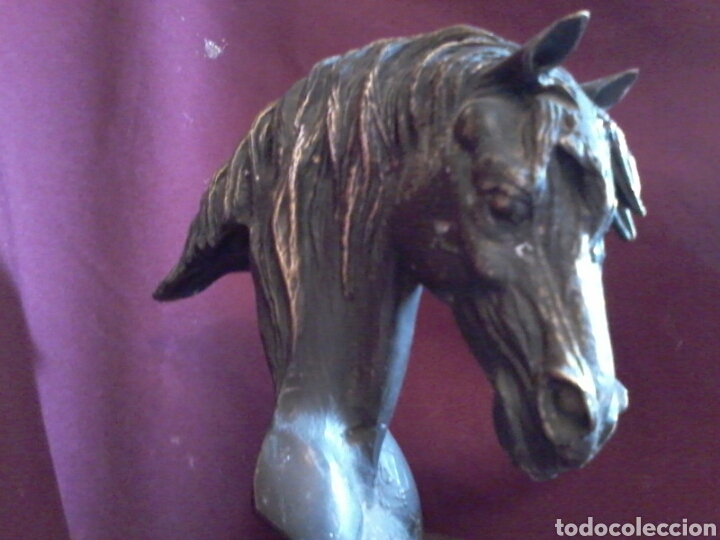 Arte: Caballo de bronce. - Foto 3