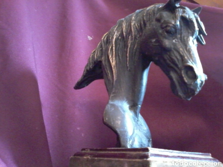 Arte: Caballo de bronce. - Foto 4
