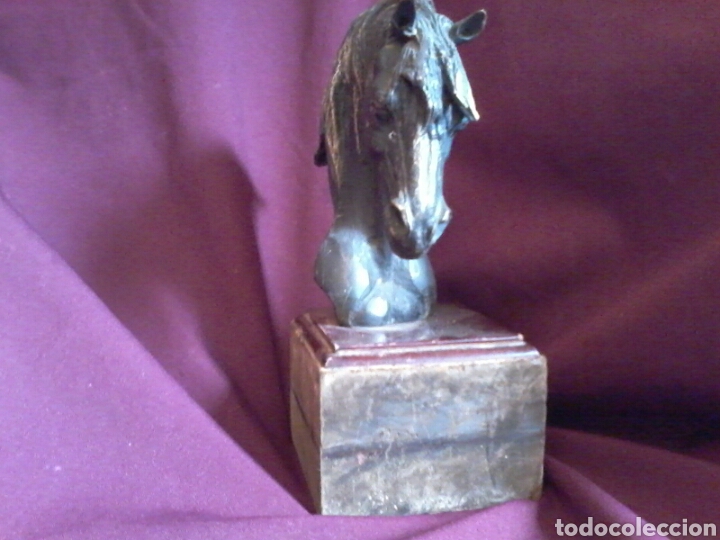 Arte: Caballo de bronce. - Foto 5