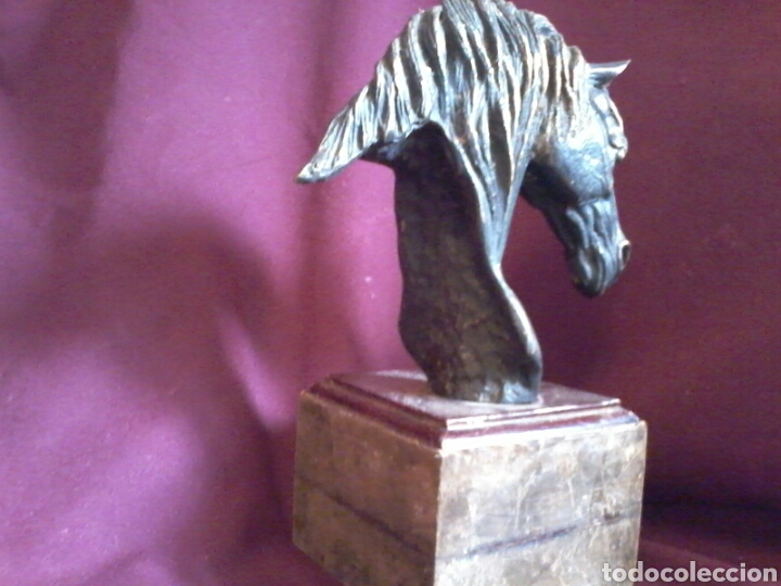 Arte: Caballo de bronce. - Foto 6