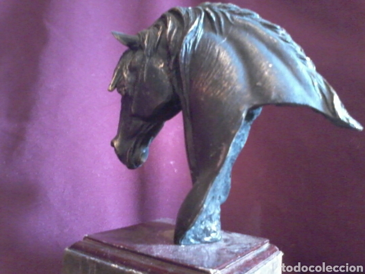 Arte: Caballo de bronce. - Foto 8