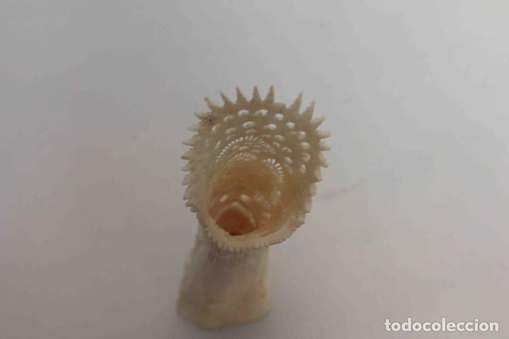 Arte: FIGURA TALLADA HUESO TIBIA - Foto 6