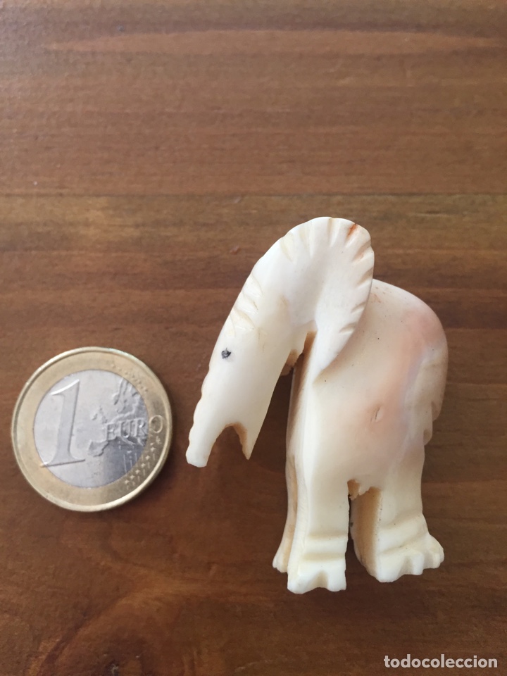Arte: Elefante de Marfil - Foto 1