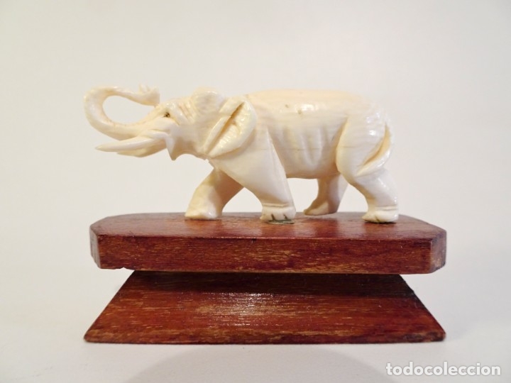 elephant carved ivory elefante tallado en marfi Comprar Esculturas de