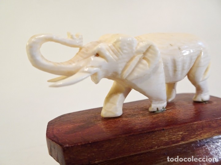 elephant carved ivory elefante tallado en marfi Comprar Esculturas de