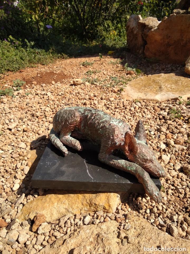 Arte: podenco - Foto 40