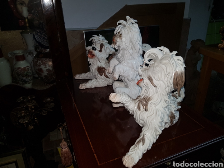 Arte: Lote 3 perritos de ALGORA en perfecto estado . - Foto 2