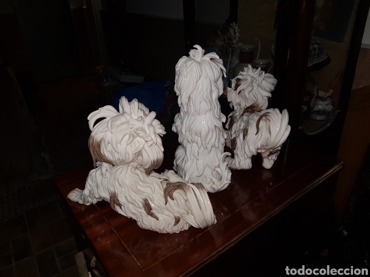 Arte: Lote 3 perritos de ALGORA en perfecto estado . - Foto 3
