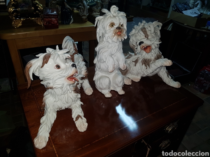 Arte: Lote 3 perritos de ALGORA en perfecto estado . - Foto 4