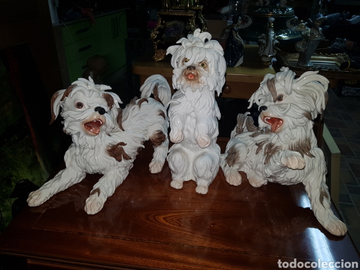 Arte: Lote 3 perritos de ALGORA en perfecto estado . - Foto 1