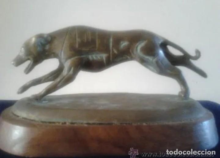 Arte: GALGO REALIZADO EN BRONCE - Foto 1