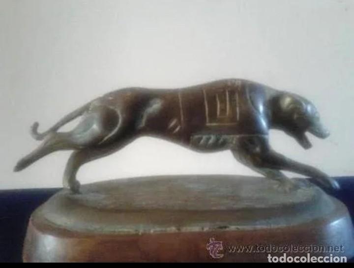 Arte: GALGO REALIZADO EN BRONCE - Foto 2