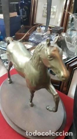 Arte: Caballo . ESCULTURA de BRONCE - Foto 1
