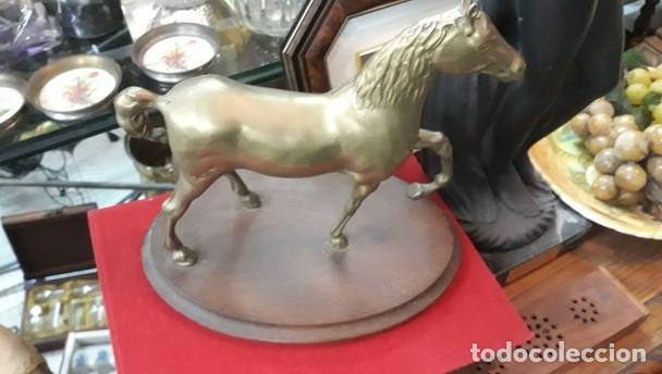 Arte: Caballo . ESCULTURA de BRONCE - Foto 2