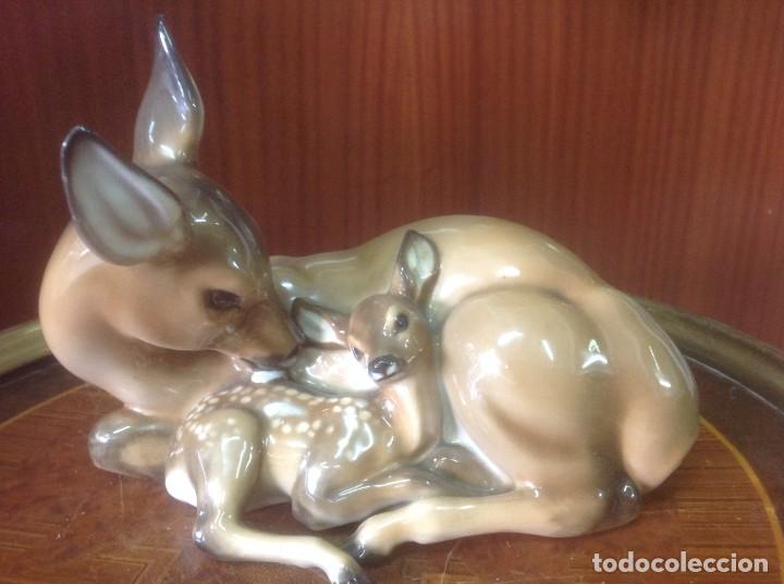 Arte: Figura Rosenthal - Foto 1