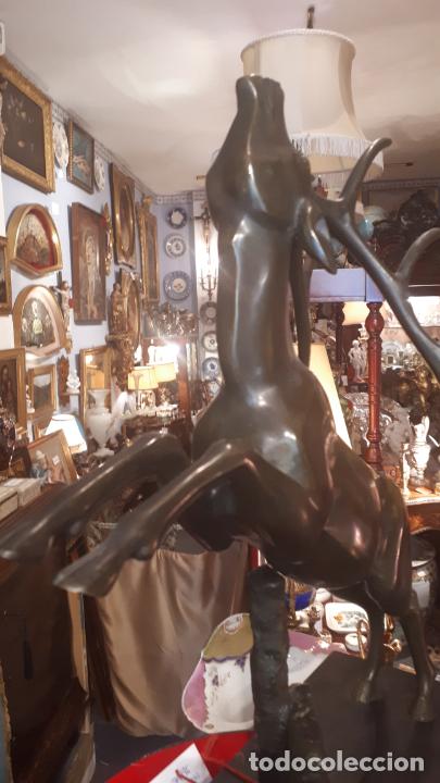 Arte: Bronce de ciervo. - Foto 6