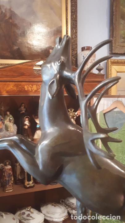 Arte: Bronce de ciervo. - Foto 7