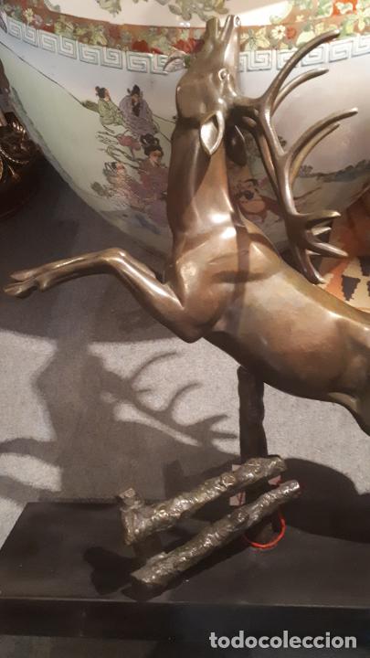Arte: Bronce de ciervo. - Foto 8