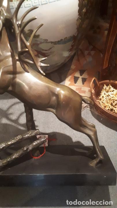 Arte: Bronce de ciervo. - Foto 9