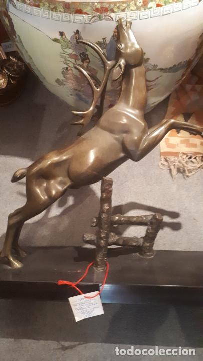 Arte: Bronce de ciervo. - Foto 11
