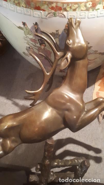 Arte: Bronce de ciervo. - Foto 12
