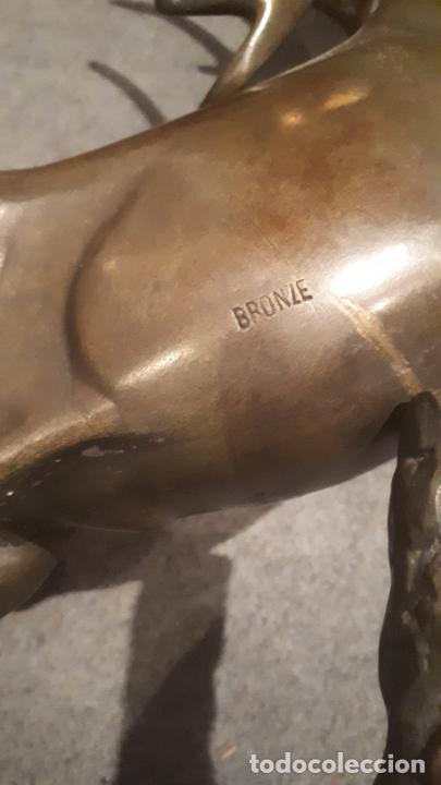 Arte: Bronce de ciervo. - Foto 13