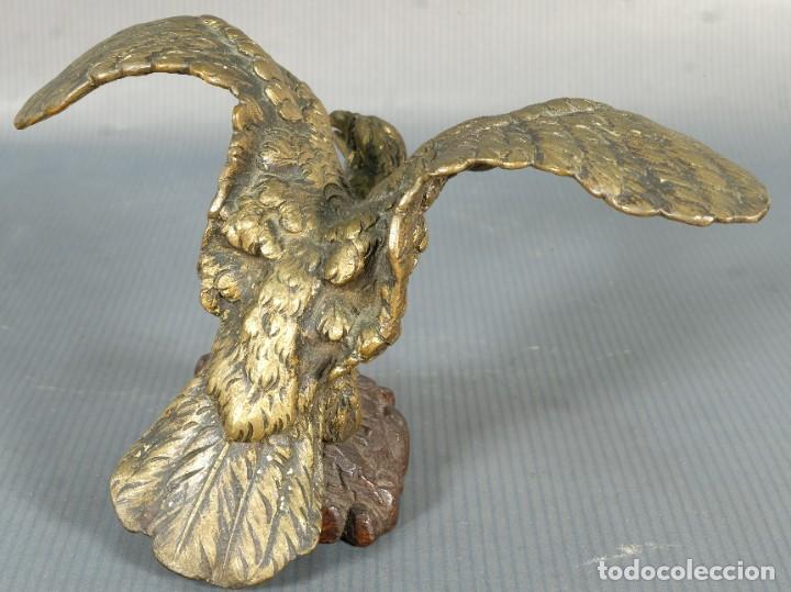Arte: &Aacute;guila en bronce - Foto 3
