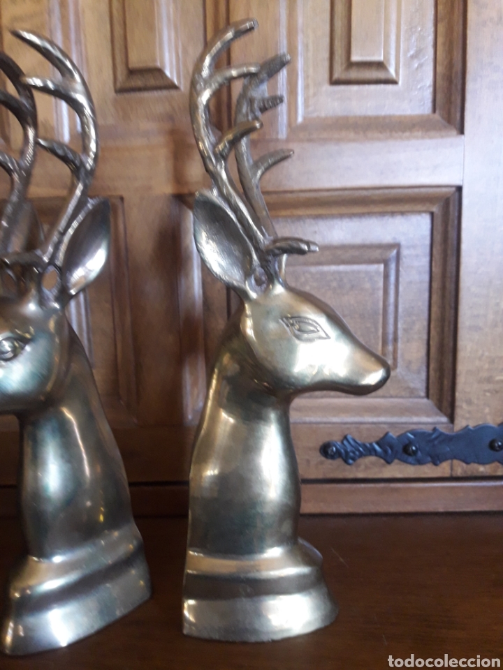 Arte: Dos figuras de bronce de ciervos - Foto 2