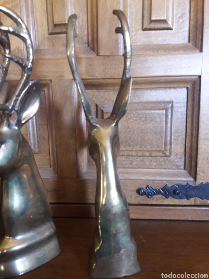 Arte: Dos figuras de bronce de ciervos - Foto 3